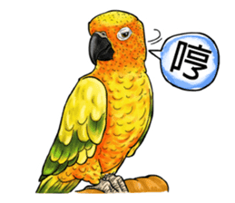 parrot like to talk sticker #8792843