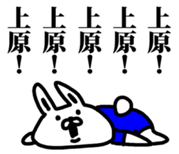 A rabbit speaks to Okinawa's name. sticker #8816365