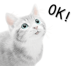 Lovely cat sticker! sticker #8886896