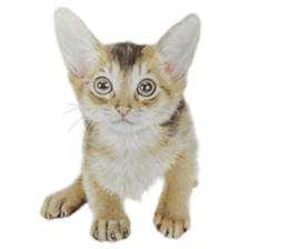 Lovely cat sticker! sticker #8886898