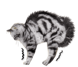 Lovely cat sticker! sticker #8886901