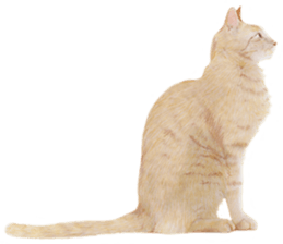 Lovely cat sticker! sticker #8886902