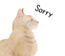 Lovely cat sticker! sticker #8886903