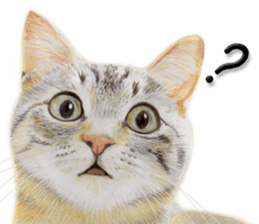 Lovely cat sticker! sticker #8886904