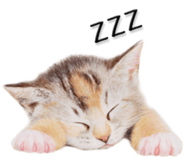 Lovely cat sticker! sticker #8886906