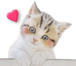 Lovely cat sticker! sticker #8886910