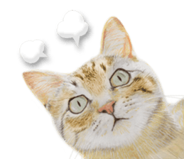 Lovely cat sticker! sticker #8886914