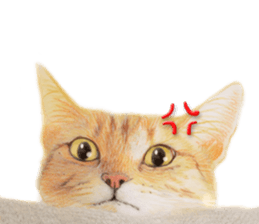 Lovely cat sticker! sticker #8886915