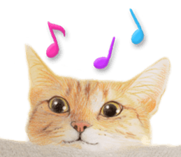 Lovely cat sticker! sticker #8886916