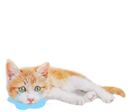 Lovely cat sticker! sticker #8886918