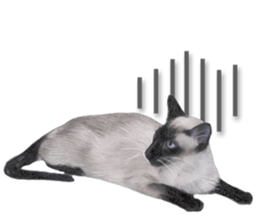 Lovely cat sticker! sticker #8886919