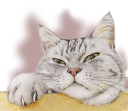 Lovely cat sticker! sticker #8886923