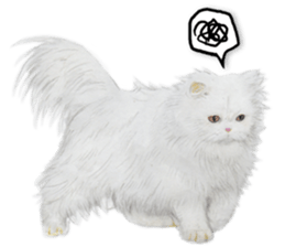 Lovely cat sticker! sticker #8886926