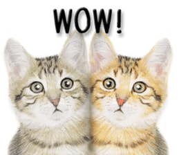 Lovely cat sticker! sticker #8886930