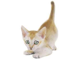 Lovely cat sticker! sticker #8886931