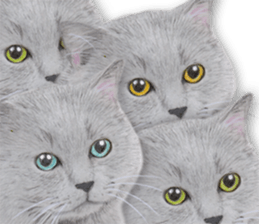 Lovely cat sticker! sticker #8886932