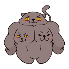 Pectoral muscle cat. sticker #9030280