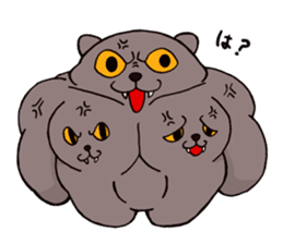 Pectoral muscle cat. sticker #9030288