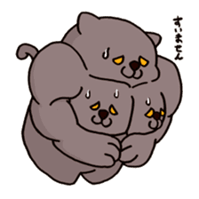 Pectoral muscle cat. sticker #9030301
