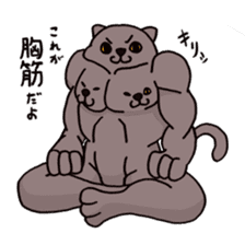 Pectoral muscle cat. sticker #9030314