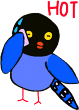 Formosan Blue Magpie yamamusume sticker #9230541