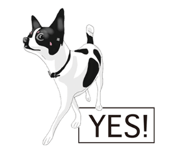 Chihuahua Pippi's Life sticker #9292201