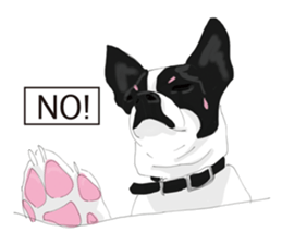 Chihuahua Pippi's Life sticker #9292202