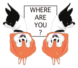 Chihuahua Pippi's Life sticker #9292203