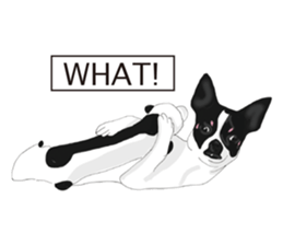 Chihuahua Pippi's Life sticker #9292204