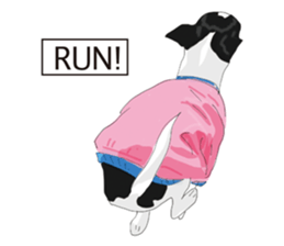 Chihuahua Pippi's Life sticker #9292207