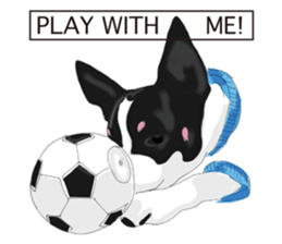 Chihuahua Pippi's Life sticker #9292209