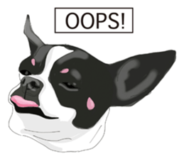 Chihuahua Pippi's Life sticker #9292210