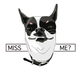 Chihuahua Pippi's Life sticker #9292212