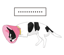 Chihuahua Pippi's Life sticker #9292214