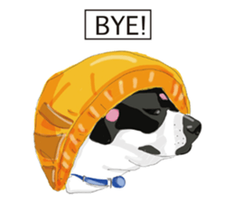 Chihuahua Pippi's Life sticker #9292215