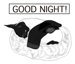 Chihuahua Pippi's Life sticker #9292219