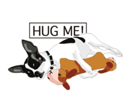 Chihuahua Pippi's Life sticker #9292224