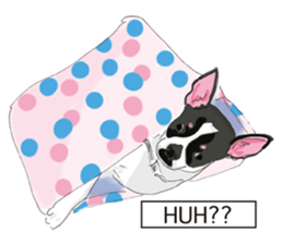 Chihuahua Pippi's Life sticker #9292225