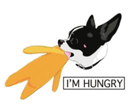 Chihuahua Pippi's Life sticker #9292227