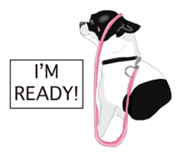 Chihuahua Pippi's Life sticker #9292228