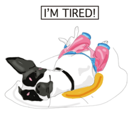 Chihuahua Pippi's Life sticker #9292229
