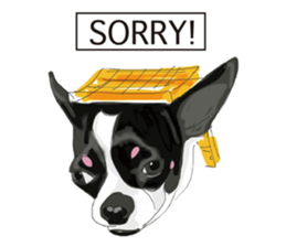 Chihuahua Pippi's Life sticker #9292236