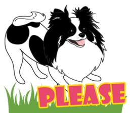 VVPet's Papillon&Phalene Friends sticker #9359850