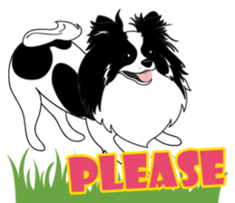 VVPet's Papillon&Phalene Friends sticker #9359850