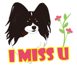 VVPet's Papillon&Phalene Friends sticker #9359857