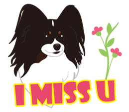 VVPet's Papillon&Phalene Friends sticker #9359857