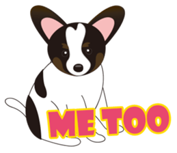 VVPet's Papillon&Phalene Friends sticker #9359861