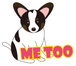 VVPet's Papillon&Phalene Friends sticker #9359861