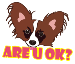 VVPet's Papillon&Phalene Friends sticker #9359862