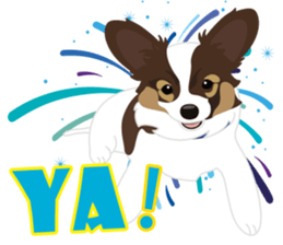 VVPet's Papillon&Phalene Friends sticker #9359864